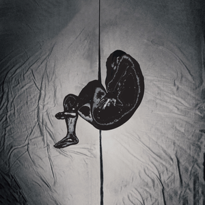 男人添女人囗交做爰高潮
