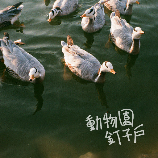 男人添女人囗交做爰高潮
